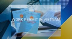 work permit in vietnam. work permit service in vietnam