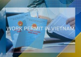 work permit in vietnam. work permit service in vietnam