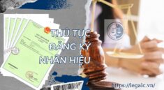 Thủ tục đăng ký nhãn hiệu - Hồ sơ, quy trình đăng ký nhãn hiệu hàng hóa