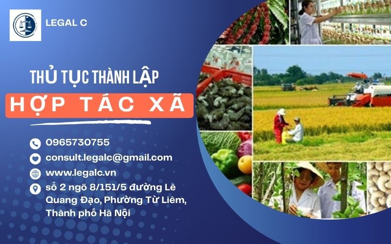 Thủ tục thành lập hợp tác xã. Điều kiện đăng ký Hợp tác xã 2026