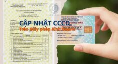 Cập nhật cccd trên giấy phép kinh doanh. Thủ tục thay đổi cccd trên giấy phép đăng ký kinh doanh