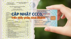 Cập nhật cccd trên giấy phép kinh doanh. Thủ tục thay đổi cccd trên giấy phép đăng ký kinh doanh